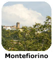 Montefiorino